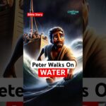 Witness21 Editor  2024 09 22