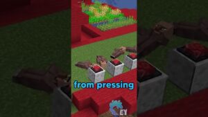 Minecraft, But Liking Grows My Color… - Gameplay, Kingdom Kids Zone, Minecraft - EYstreem