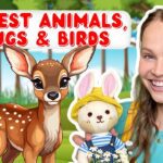 Witness21 Editor  2024 09 12