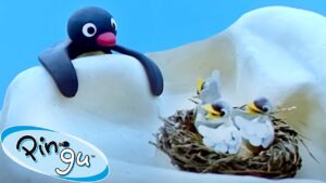 Pingu and the Bird's Mom 🐧 | Pingu – Official Channel | Cartoons For Kids - Kids (0-5), Kingdom Kids Zone - Pingu - Official Channel