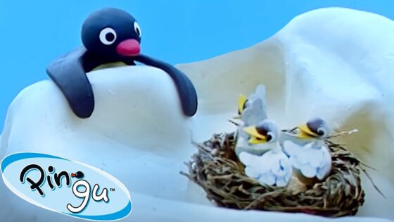 Pingu and the Bird's Mom 🐧 | Pingu – Official Channel | Cartoons For Kids - Kids (0-5), Kingdom Kids Zone - Pingu - Official Channel