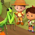 Witness21 Editor  2024 09 28