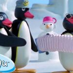 Pingu and the Band! 🐧 | Pingu – Official Channel | Cartoons For Kids - Kids (0-4), Kingdom Kids Zone - Pingu - Official Channel