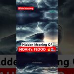 Witness21 Editor  2024 09 29