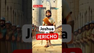 Witness21 Editor  2024 09 24