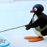A Balancing Act! 🐧 | Pingu – Official Channel | Cartoons For Kids - Kids (0-4), Kingdom Kids Zone - Pingu - Official Channel