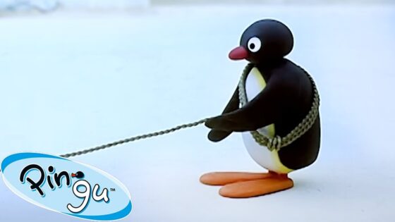 A Balancing Act! 🐧 | Pingu – Official Channel | Cartoons For Kids - Kids (0-5), Kingdom Kids Zone - Pingu - Official Channel