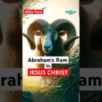 Witness21 Editor  2024 09 27