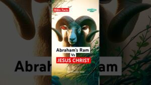 The shocking parallel to Jesus’ sacrifice 😳😱🤯🔥 #animatedbiblestories #biblefacts #bibleshorts - Bible Stories, Kingdom Kids Zone, Shorts - The Christian Seed