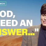 Witness21 Editor  2024 09 05