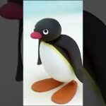 You earned this! 🐧 #Pingu - Kids (0-4), Kingdom Kids Zone, Shorts - Pingu - Official Channel