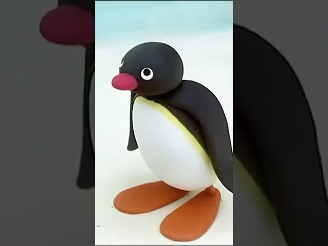 You earned this! 🐧 #Pingu - Kids (0-4), Kingdom Kids Zone, Shorts - Pingu - Official Channel