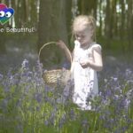 Witness21 Editor  2024 10 24