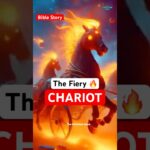 Witness21 Editor  2024 10 31