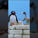 Feeding the Animals! 🐧 #Pingu - Kids (0-4), Kingdom Kids Zone, Shorts - Pingu - Official Channel