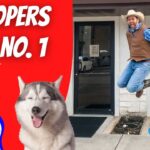 Thumbnail for a cowboy bloopers reel: man in cowboy hat jumps beside a smiling husky, with a large red panel reading 'BLOOPERS REEL NO. 1' and a laughing emoji.