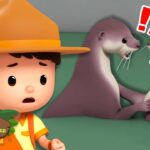 Witness21 Editor  2024 10 31