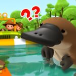 Witness21 Editor  2024 10 10