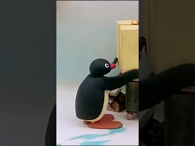Who will clean this up?! 🐧 #Pingu - Kids (0-4), Kingdom Kids Zone, Shorts - Pingu - Official Channel