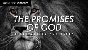Experience MIRACULOUS Sleep with 100+ POWERFUL Bible Verses! - Hope & Healing, Meditations - SOAKSTREAM - Healing Scriptures