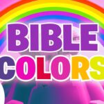 Witness21 Editor  2024 11 08