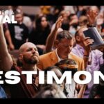 Witness21 Editor  2024 11 09