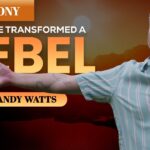 Witness21 Editor  2024 11 14