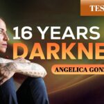 Witness21 Editor  2024 11 19