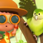 Witness21 Editor  2024 11 02