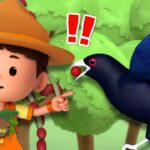 Witness21 Editor  2024 11 14