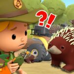 Witness21 Editor  2024 11 30