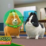Agent Binky: No Moussie Left Behind / Dragonfly Away | NEW SHOW! FULL EPISODE | TREEHOUSE DIRECT - Kids TV Series, Kingdom Kids Zone - Treehouse Direct
