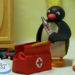 Pingu the Doctor🐧 | Pingu – Official Channel | Cartoons For Kids - Kids (0-4), Kingdom Kids Zone - Pingu - Official Channel