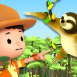 Witness21 Editor  2024 11 16