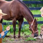Cowboy pointing at a mare and her foal resting on the dirt inside a fenced paddock; a cartoon first-aid kit floats in the top-right corner.