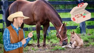 Cowboy pointing at a mare and her foal resting on the dirt inside a fenced paddock; a cartoon first-aid kit floats in the top-right corner.