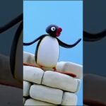 This is Going to FALL! 🐧 #Pingu - Kids (0-4), Kingdom Kids Zone, Shorts - Pingu - Official Channel