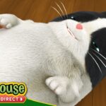Agent Binky: Yummy Yoinks / One Froggy Day | NEW SHOW! FULL EPISODE | TREEHOUSE DIRECT - Kids TV Series, Kingdom Kids Zone - Treehouse Direct