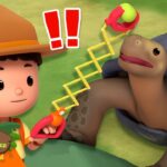 Witness21 Editor  2024 11 07