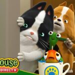 Agent Binky: Pet Project / Pizza Panic | NEW SHOW! FULL EPISODE | TREEHOUSE DIRECT - Kids TV Series, Kingdom Kids Zone - Treehouse Direct