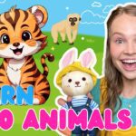 Witness21 Editor  2024 11 23