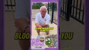 Bloom Where You're Planted #dennisswanberg #theswan - Comedy, Shorts - Dennis Swanberg - "The Swan"