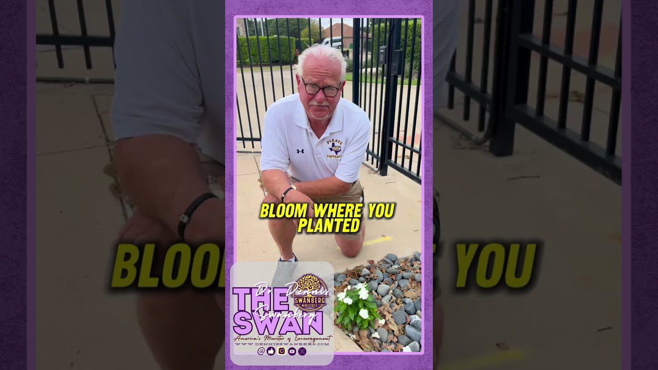 Bloom Where You're Planted #dennisswanberg #theswan - Comedy, Shorts - Dennis Swanberg - "The Swan"