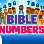 Witness21 Editor  2024 11 01