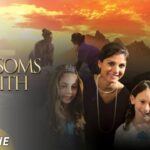 Witness21 Editor  2024 11 03