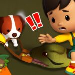 Witness21 Editor  2024 11 28