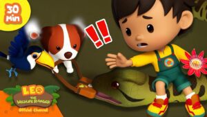 Witness21 Editor  2024 11 28