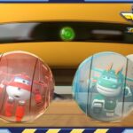 Witness21 Editor  2024 11 22