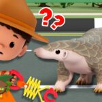 Witness21 Editor  2024 11 21