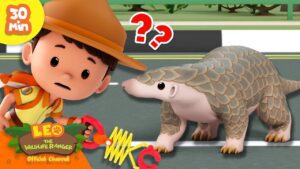 Witness21 Editor  2024 11 21